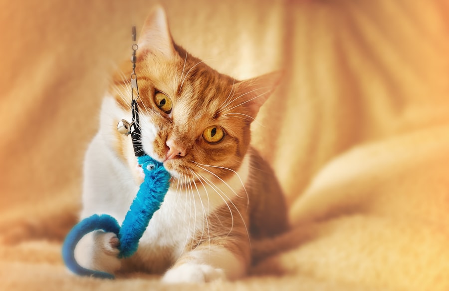 Gato caçando uma varinha de brinquedo azul